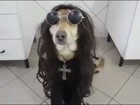 ‘Ninão mudou minha vida’, diz dono de cachorro famoso na internet