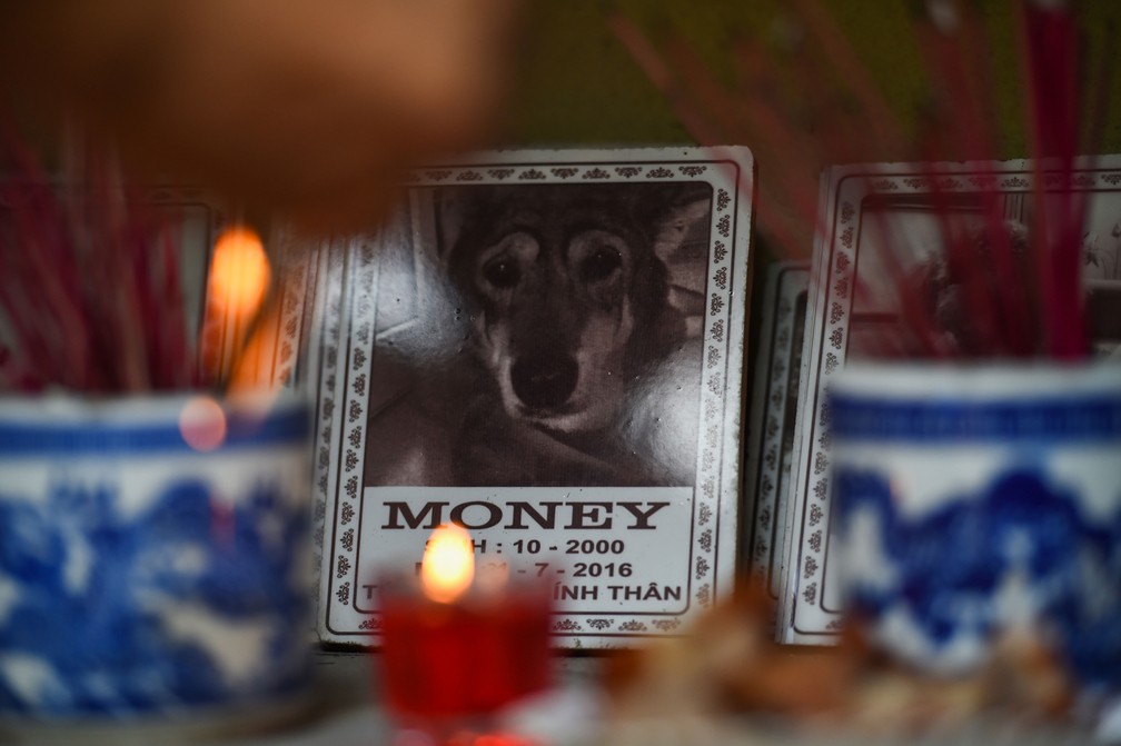 Velas acesas e incenso são acesos em homenagens aos animais de estimação enterrados em cemitério de Hanói, no Vietnã  — Foto: Nhac Nguyen / AFP
