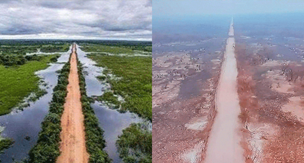 Antes e depois da Rodovia Transpantaneira ser atingida pelos incêndios no Pantanal de MT — Foto: Drone Cuiabá/Divulgação