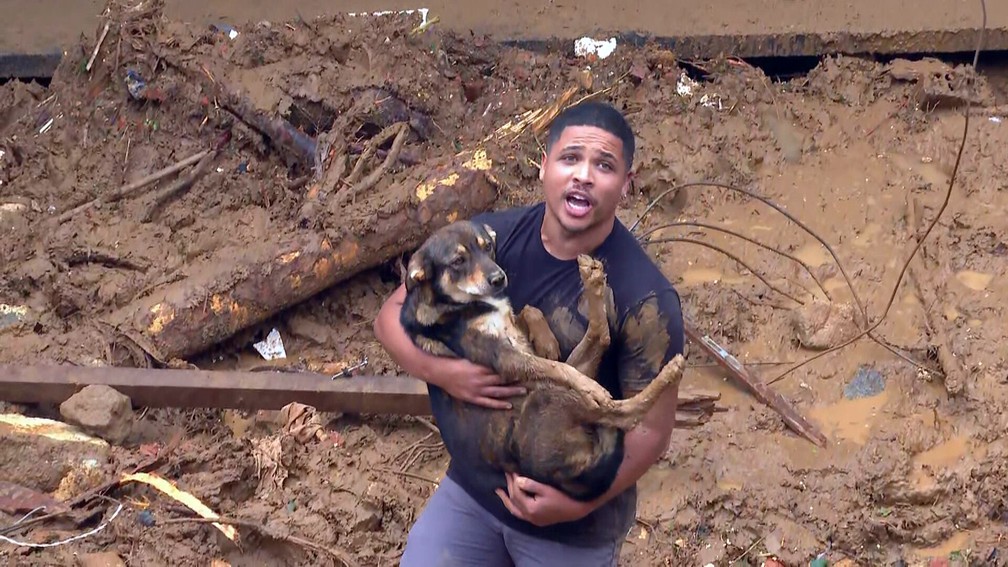 Pitoco é resgatado do alto de montanha de lama em Petrópolis — Foto: Reprodução/TV Globo