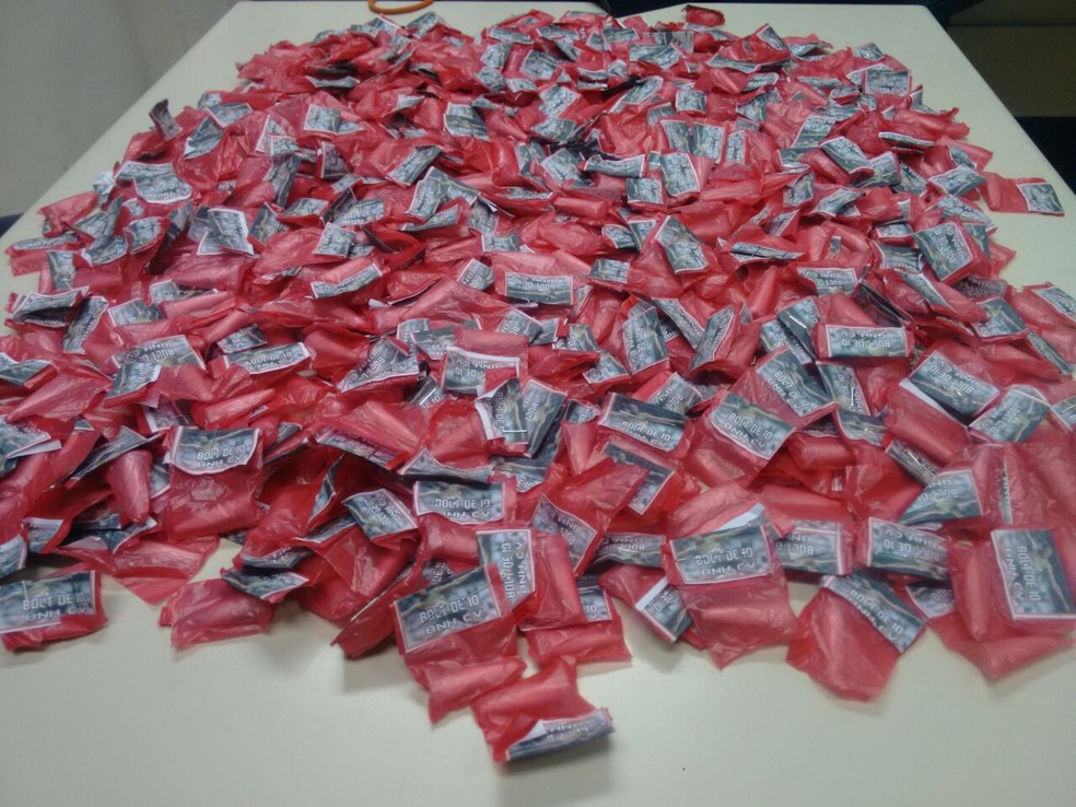 Droga foi apreendida em Pedro do Rio, distrito de Petrópolis (Foto: PM/Divulgação)