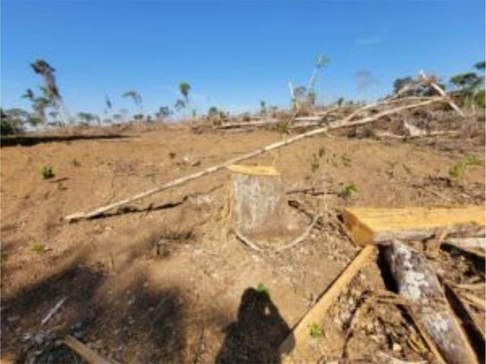 Infrator é multado em mais de R$ 1 milhão por crime ambiental em São Francisco do Guaporé, RO — Foto: PM Ambiental/Divulgação