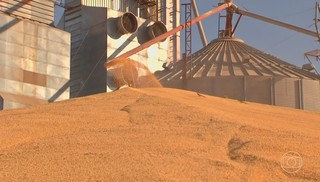 Após 8 horas de buscas, trabalhador é resgatado com vida em silo de cooperativa que explodiu no Paraná
