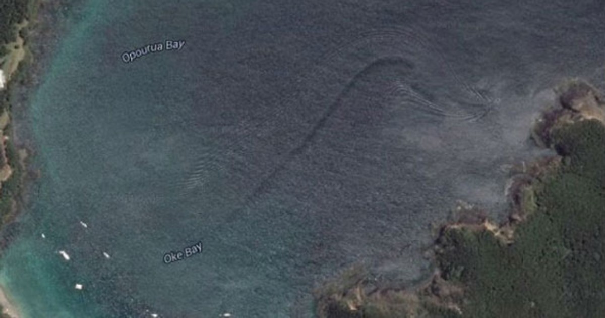 Criatura estranha no meio do mar gelado! #googlemaps #terror