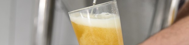 Fazenda de soja aposta em produção de cerveja (Fazenda de soja aposta em produção de cerveja (Canarinho Press))
