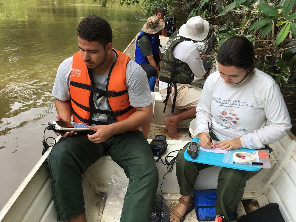 Pesquiasdores passaram duas semanas coletando as amostras dos peixes na bacia do Rio Branco — Foto: Arquivo pessoal