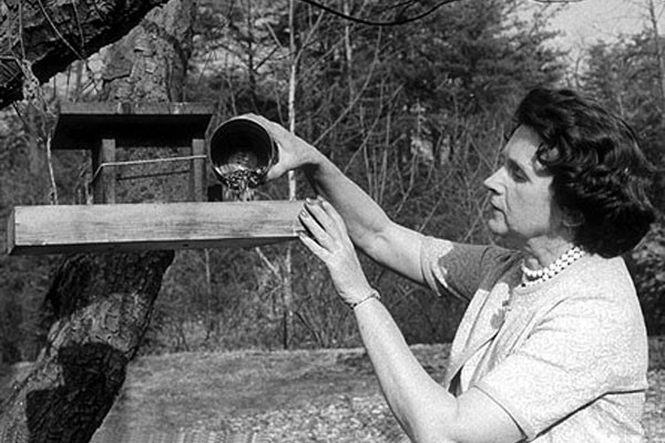 Rachel Carson (Foto: Reprodução)