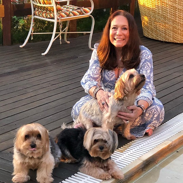 Susana Vieira com seus cachorros (Foto: Reprodução Instagram) Susana Vieira com seus cachorros (Foto: Reprodução Instagram)