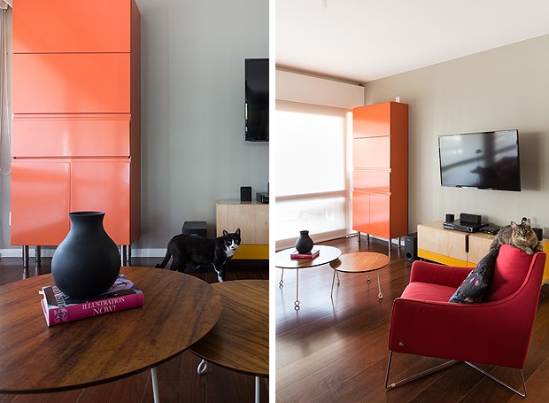 Os gatos Filó e Félix curtindo a sala de estar, que tem móveis coloridos, como o armário laranja da Securit (Foto: Marcelo Donadussi/Fotografia de Arquitetura)