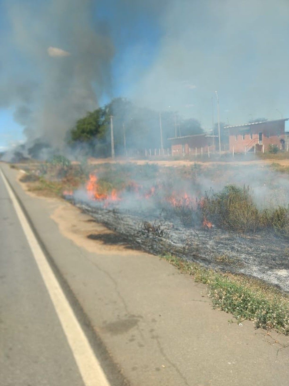 Homem ateou fogo em vegetação às margens da BR-226 em Janduís, região Oeste — Foto: Focoelho.com