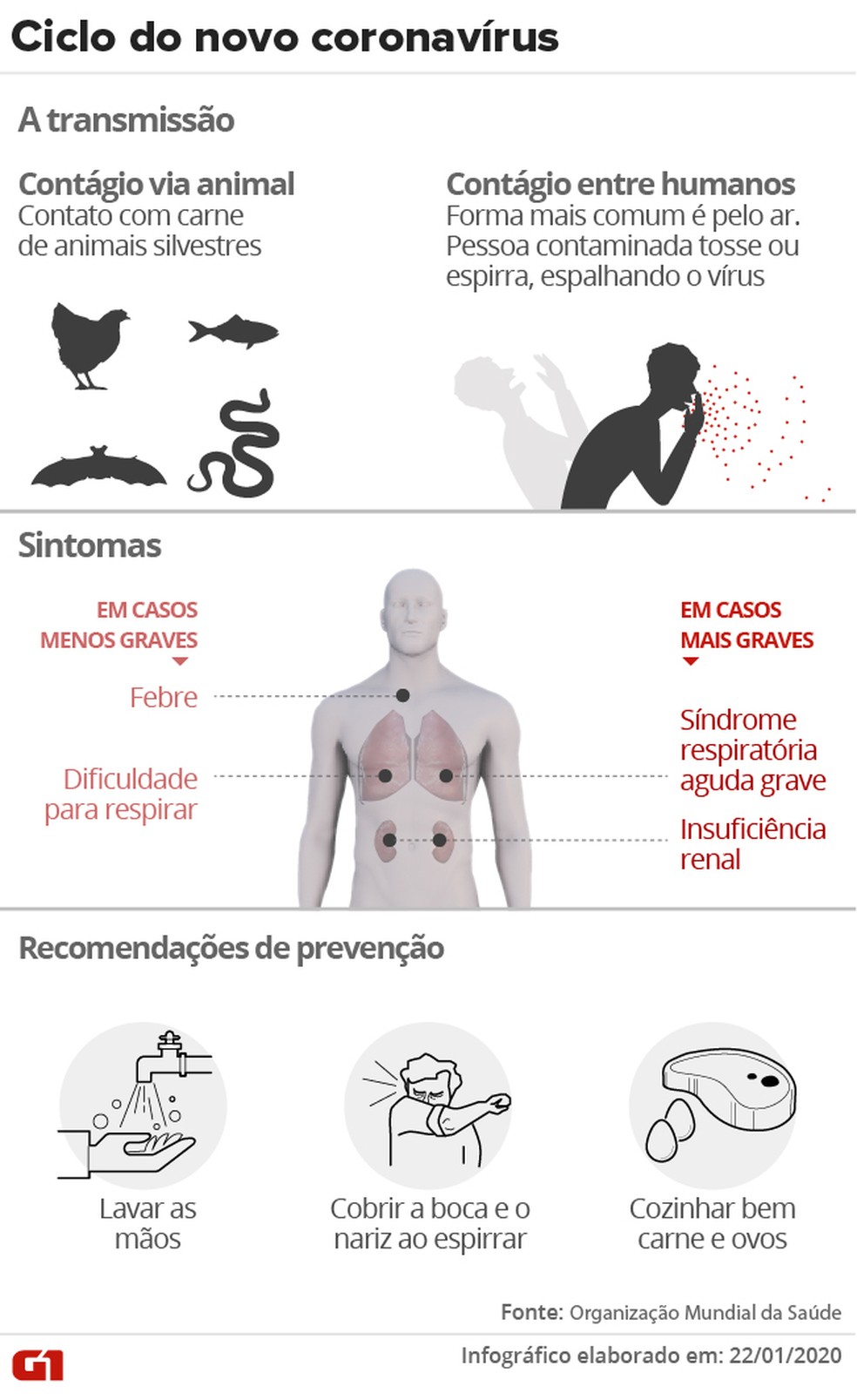 Ciclo do novo coronavírus - transmissão e sintomas — Foto: Aparecido Gonçalves/Arte G1