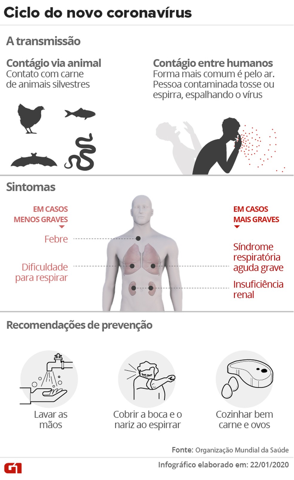 Ciclo do novo coronavrus - transmisso e sintomas  Foto: Aparecido Gonalves/Arte G1