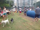Praça para cães é inaugurada em Jardim Camburi, em Vitória, ES