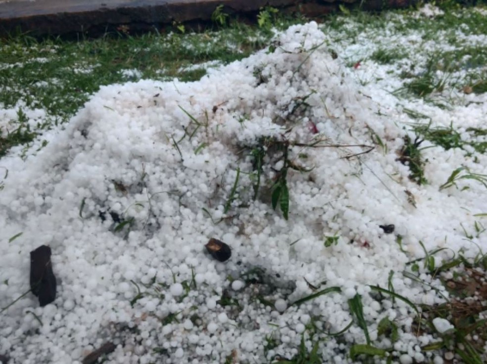 Chuva de granizo atinge plantações e causa prejuízos no Sul de Minas (Foto: Reprodução EPTV)