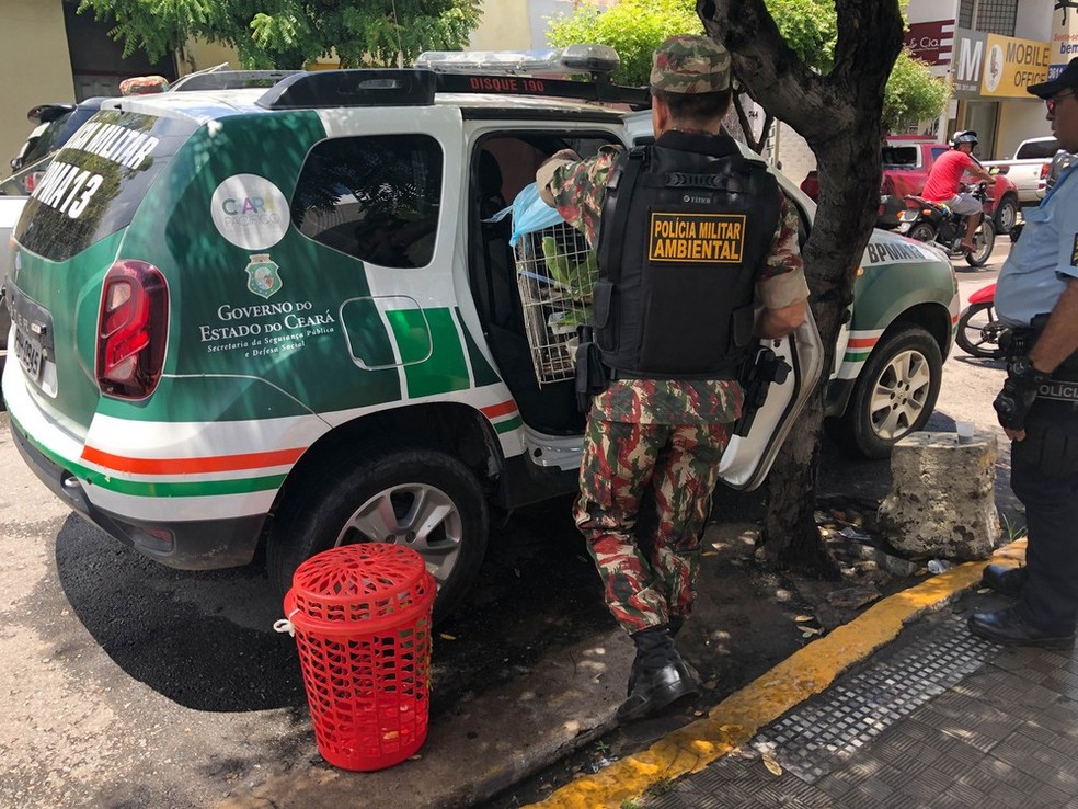 Agentes sÃ£o suspeitos de extorquir dinheiro de empresÃ¡rios no CearÃ¡ â€” Foto: Maristela GlÃ¡ucia/Sistema Verdes Mares