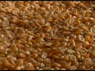 Cresce a exportação de grãos pelo Porto de Santarém, no Pará