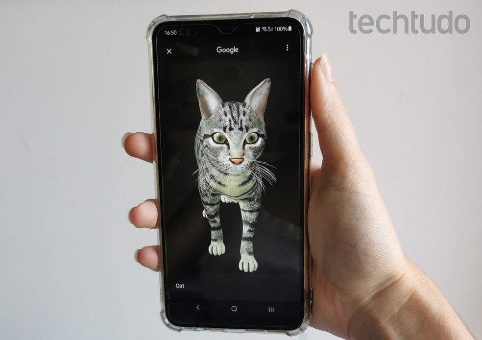 Google permite observar animais em 3D na busca do celular — Foto: Beatriz Cardoso/TechTudo