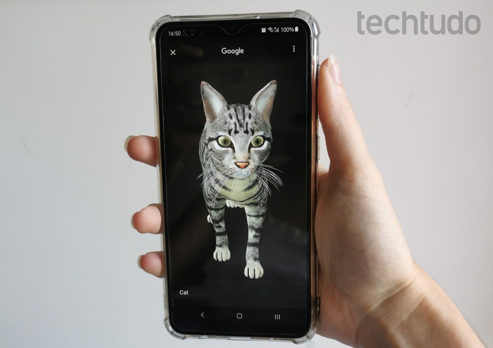 Google cria ferramenta que inclui observar animais em 3D com realidade aumentada — Foto: Beatriz Cardoso/TechTudo