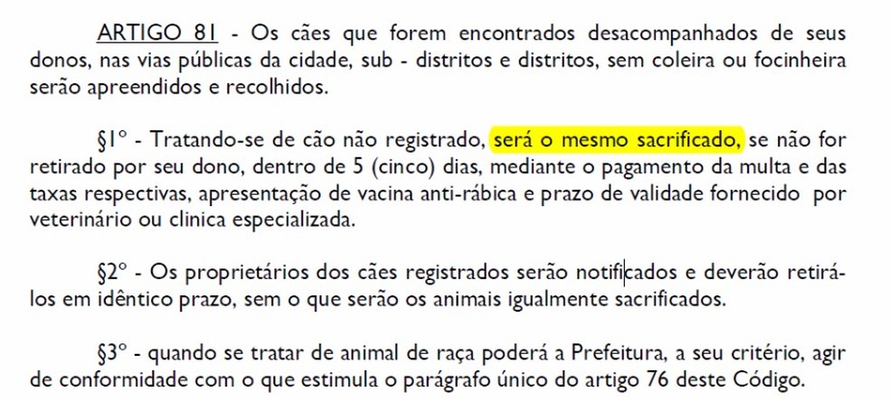 Artigo permitia o sacrifício de cachorros na cidade de Itápolis (SP) (Foto: Arquivo Pessoal)