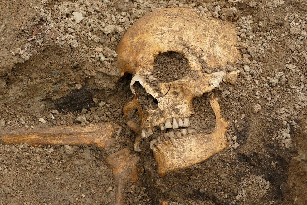 Crânio e ossada de um homem foram descobertas dentro do barco funerário.  — Foto: Divulgação/Arkeologerna