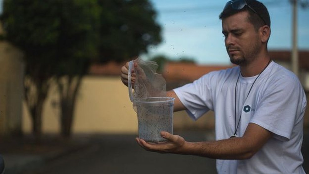 Biólogo no Brasil libera mosquitos para combater surto de zika — Foto: Getty Images via BBC