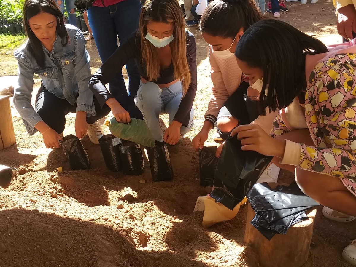 Curso de produção de mudas está com inscrições abertas em Montes Claros