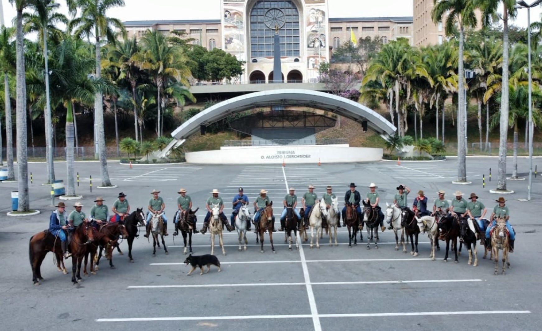 Cachorro aventureiro, 'Cowboy' some dos donos em MG e vai parar junto com romaria de cavaleiros em Aparecida