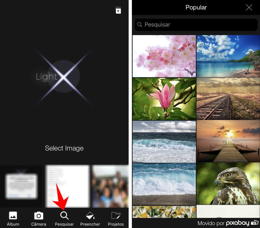LightX permite editar fotos do banco de imagens do próprio app — Foto: Reprodução/Rodrigo Fernandes