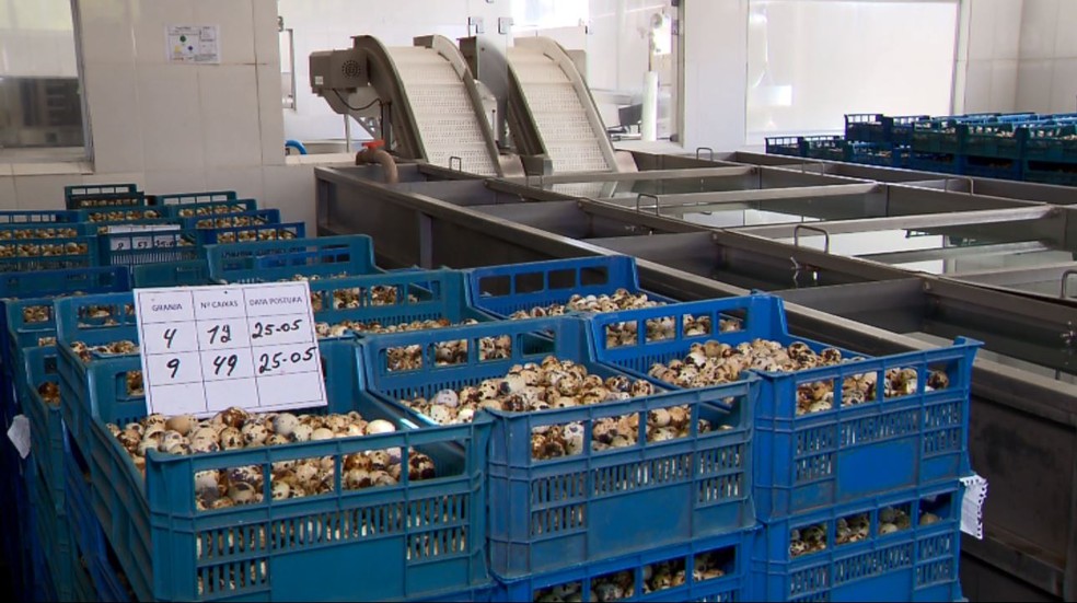 Falta de abastecimento também afeta todo o sistema de distribuição dos produtos (Foto: Reprodução/EPTV)