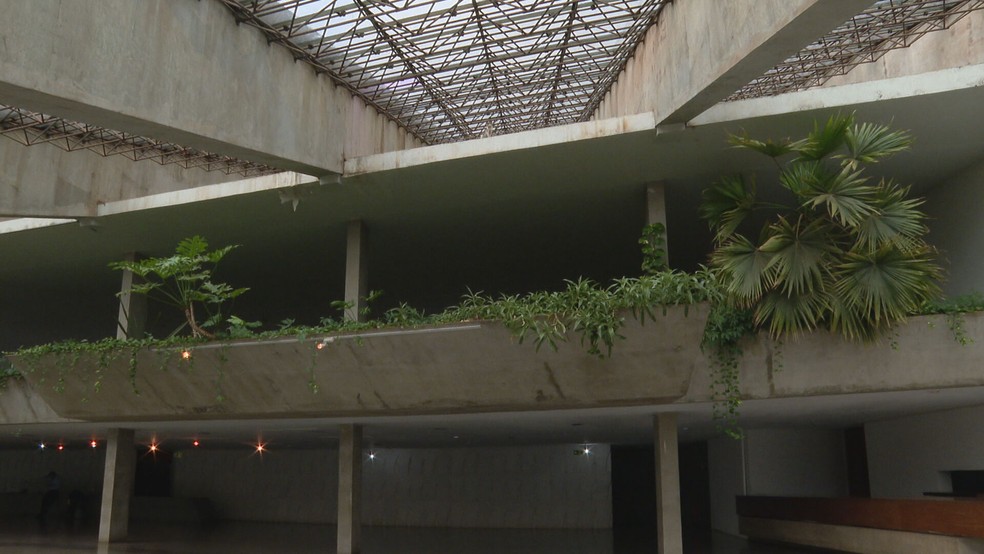 Gatos escalam o vidro do Teatro Nacional e acabam caindo no telhado do mezanino, que em cima do foyer da sala Villa-Lobos — Foto: TV Globo/Reprodução