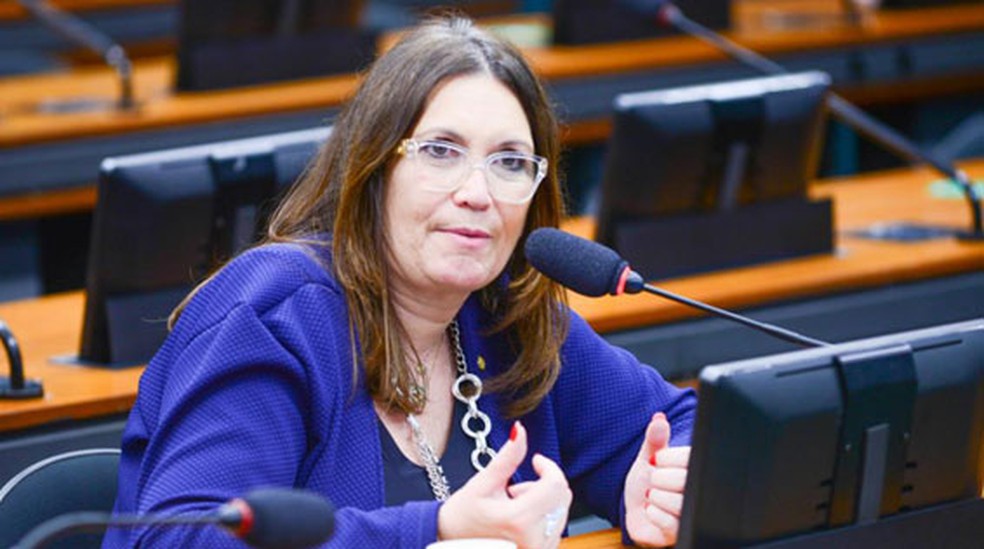 A deputada Bia Kicis em sessão na Câmara — Foto: Billy Boss/Câmara dos Deputados