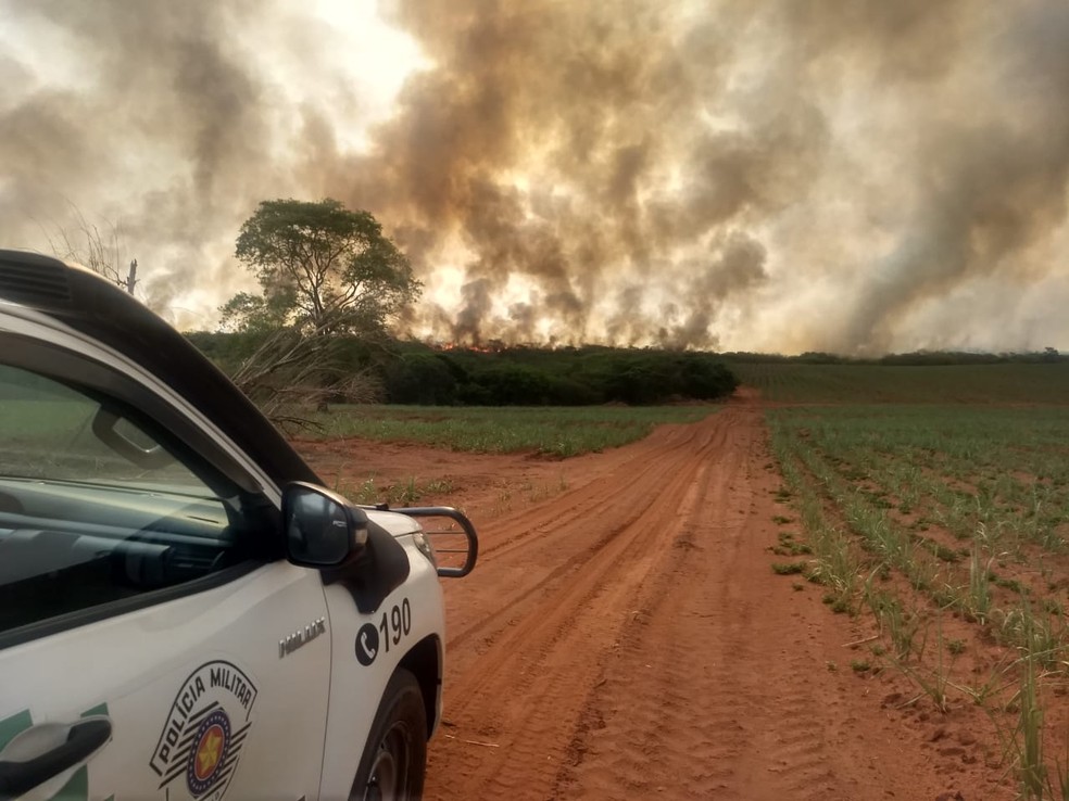 Incêndio atingiu o Parque Estadual do Rio do Peixe, em Ouro Verde (SP), em setembro de 2021 — Foto: Polícia Militar Ambiental