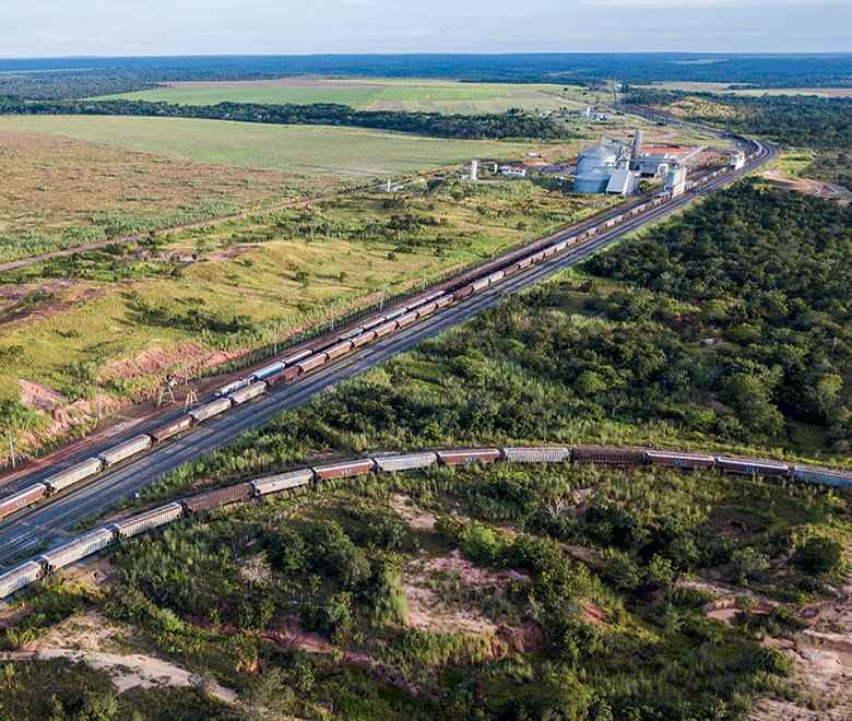 Caminho da Safra (Foto:  )