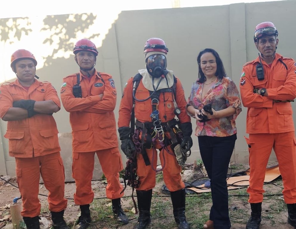 Bebê gato cai em poço de 5 metros de profundidade e é resgatado pelos Bombeiros em Boa Vista