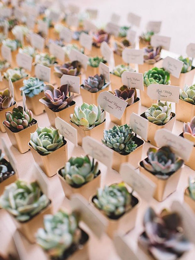 Lembrancinhas de casamento: Vasinhos de planta (Foto: Pinterest/Reprodução)
