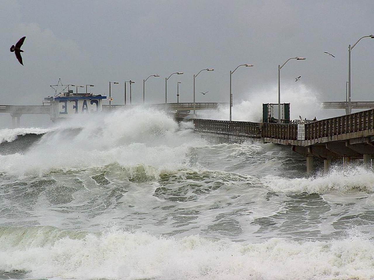 Ondas gigantes causadas pelo El Niño castigam a costa de San Diego, nos EUA (Foto: Wikimedia Commons)