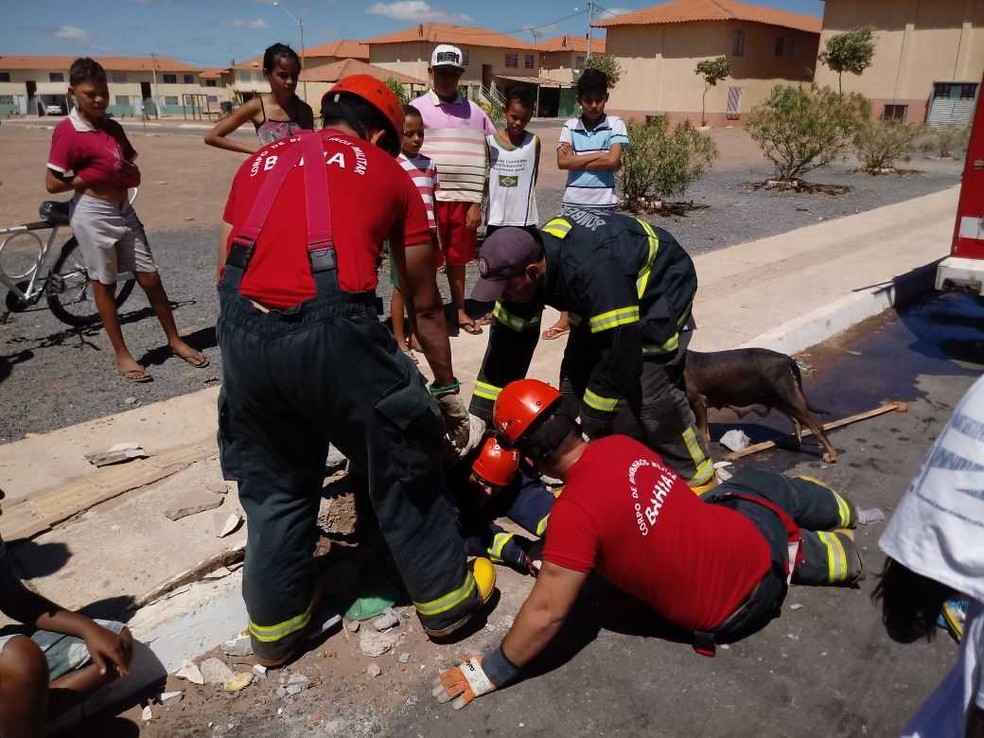 Cachorro é resgatado pelo Corpo de Bombeiros na cidade de Luís Eduardo Magalhães (Foto: Divulgação/Corpo de Bombeiros)