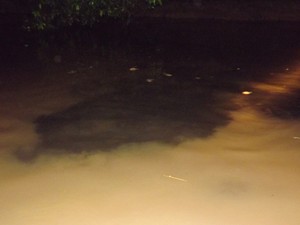 Mancha escura no rio representa resíduos de produtos químicos (Foto: Luiz Pitanguy/Arquivo Pessoal)