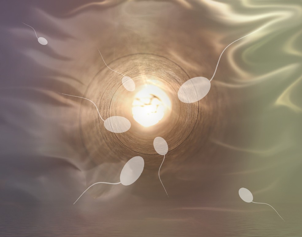 Qualidade de espermatozoides diminui com o tempo, segundo pesquisadores — Foto: Pixabay