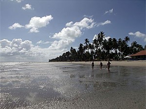 Praia dos Carneiros - Tamandaré - Pernambuco (Foto: Fabíola Blah/G1)