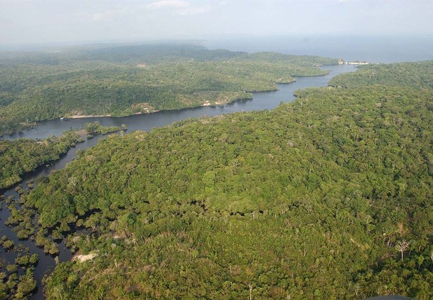 Amazônia (Foto: Agência EFE)