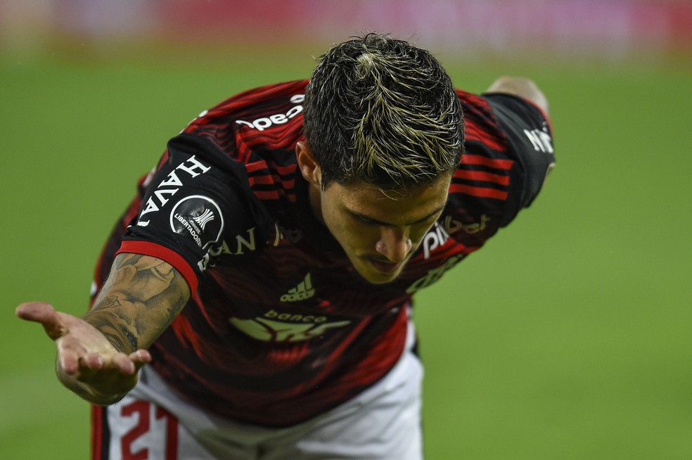 Pedro comemora o gol que classificou o Flamengo contra o Corinthians &mdash; Foto: Marcelo Cortes/Flamengo