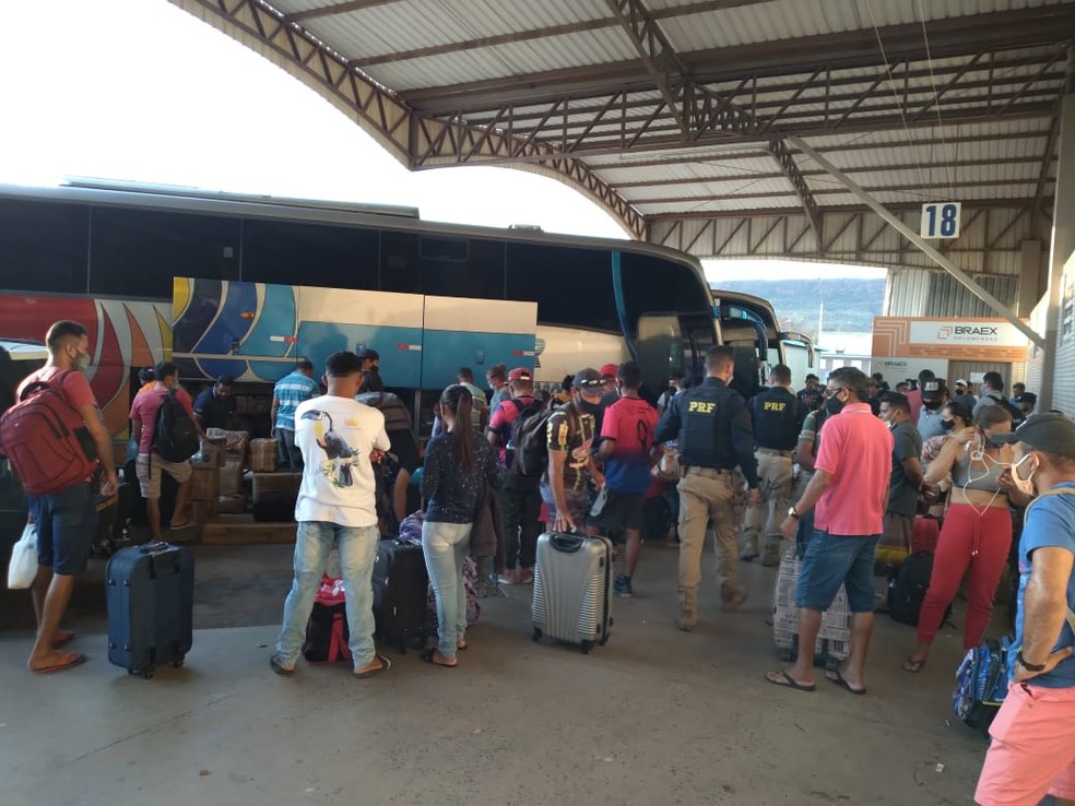 ANTT e PRF flagraram veículos realizando transporte interestadual de passageiros sem autorização — Foto: Divulgação/ANTT
