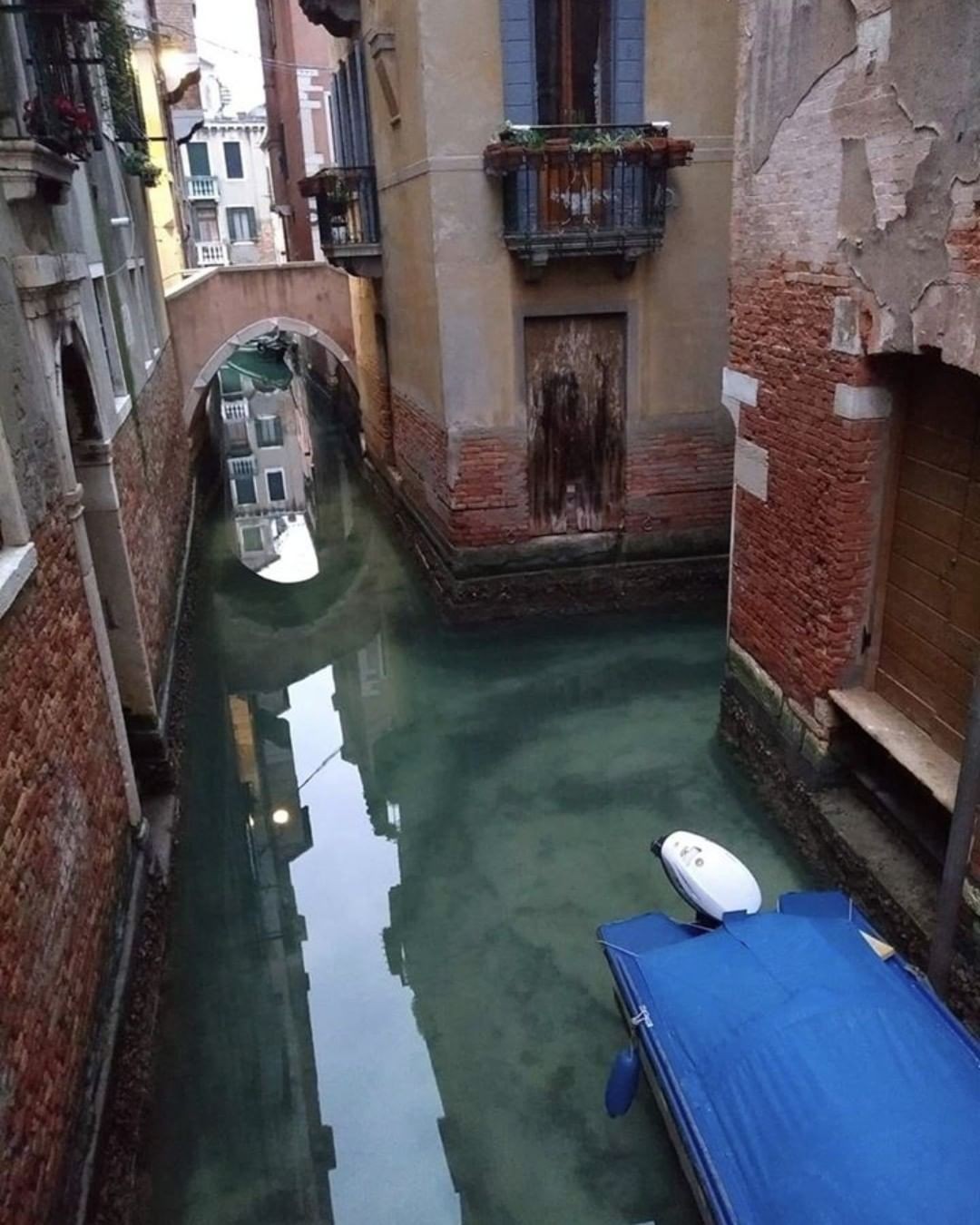 Canal de Veneza sem poluição por conta do coronavírus (Foto: Reprodução Instagram)