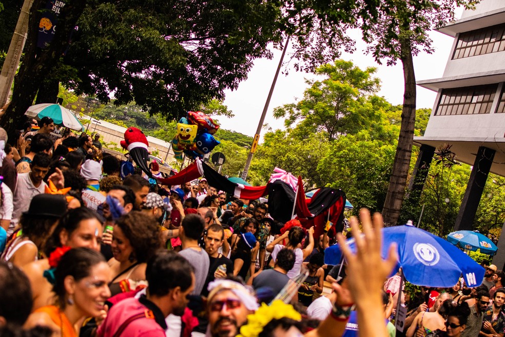 Carnaval de rua no Setor Comercial Sul, em Brasília — Foto: Adriano Maneo/Divulgação