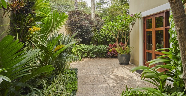 Jardim de 300 m² em SP é inspirado na Mata Atlântica e prioriza folhagens nativas (Foto: Guto Seixas @gutoseixas)