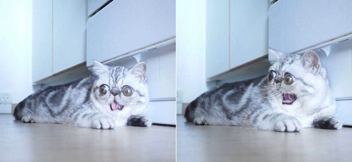 Herman tem um problema congênito, mas sua visão é perfeita