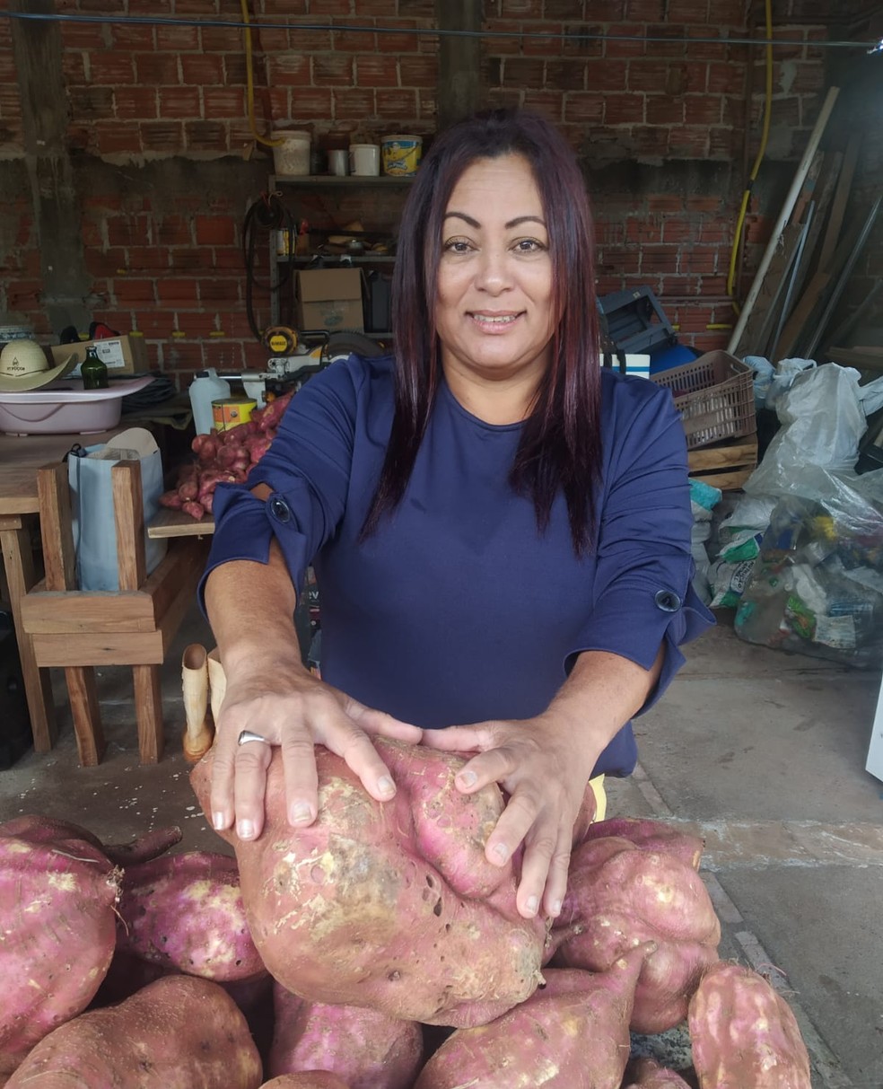 Agricultora colhe batata-doce de 6 quilos em Umuarama — Foto: Arquivo pessoal
