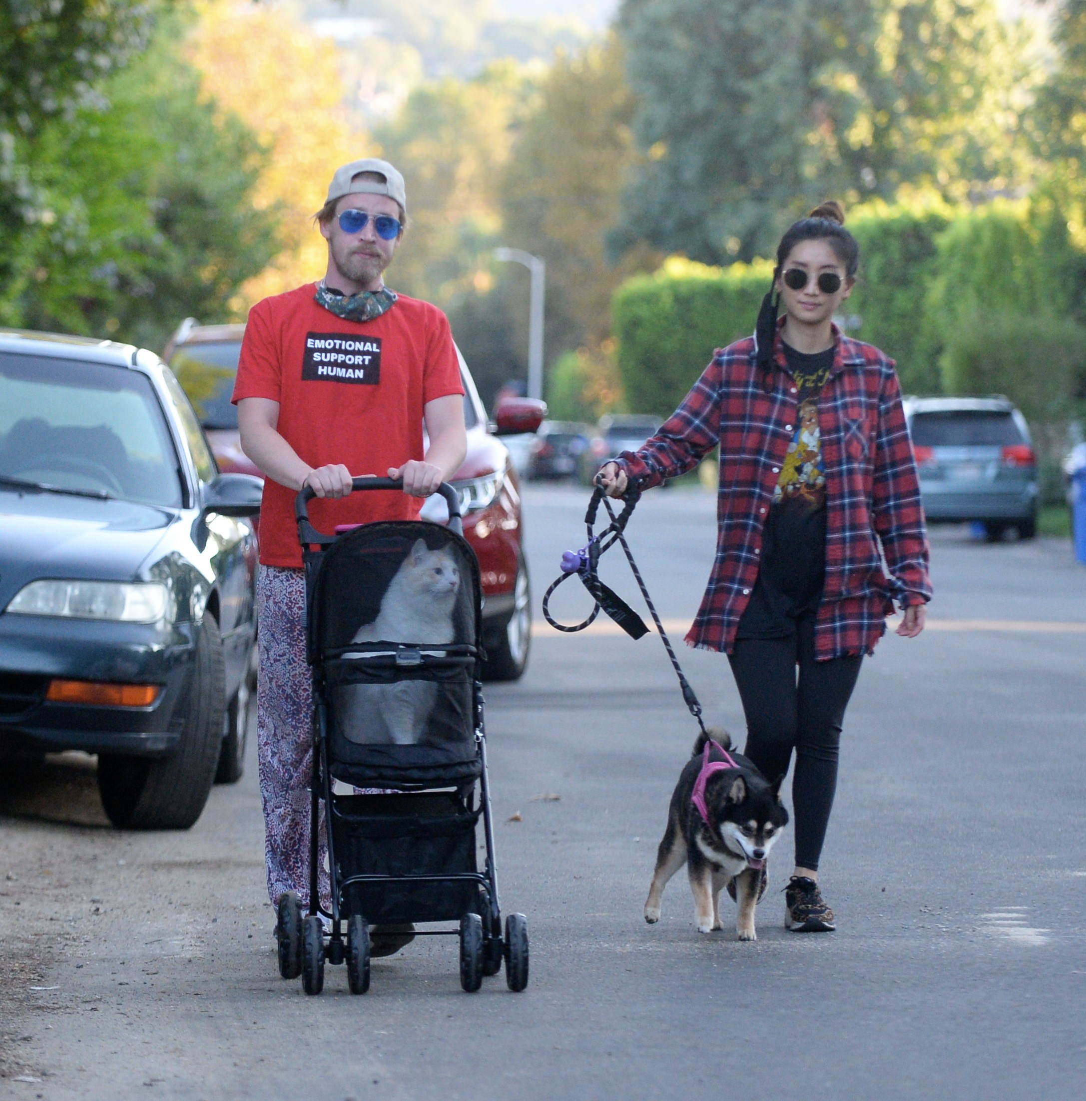 Macaulay Culkin e Brenda Song fazem passeio com os pets (Foto: The Grosby Group)