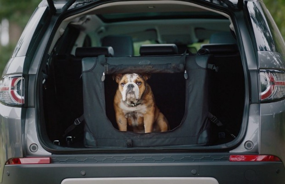 Land Rover lança pacotes de opcionais para animais de estimação no Reino  Unido | Carros | autoesporte
